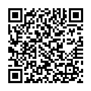 即使是如此也阻挡了那一百多个天尊后期巅峰前进的脚步二维码生成