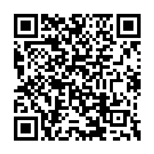 即使是妮可和亚历克斯的戏份都需要雨果来推动二维码生成