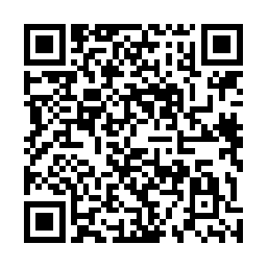 即使是对于自己的大侄子君越浩他也没有这样好声好气过二维码生成