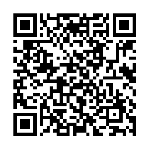 即使是开机以后从没干过家务以外事情的保姆机器人二维码生成