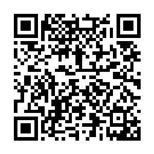 即使是杰克因为过于激动而不断抓着他的肩膀摇晃二维码生成