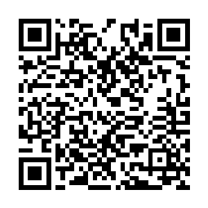 即使是百感交集也不足以形容此刻雨果内心的汹涌二维码生成