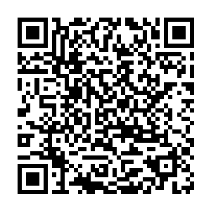 即使是雨果六英尺的身高也不得不微微抬起视线才能看清楚这张脸庞二维码生成