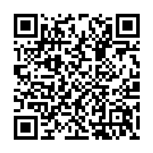 即使是风天翔只要进入了攻击范围都是一样的待遇二维码生成