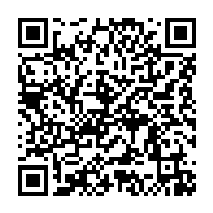 即使是ac米兰的因扎吉那样出让50%肖像权的球员也从未拿过热身赛的钱二维码生成