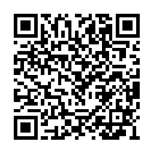 即使有迷茫即使有纠结即使有动摇即使有不确定二维码生成