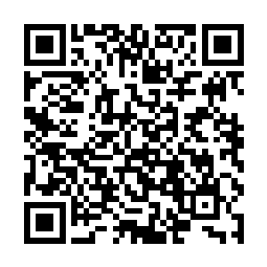 即使知道黑白云霓花不会落到他们这种小人物的手里二维码生成