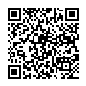 即使面对一众强大竞争对手依旧不断提升自己的排名二维码生成