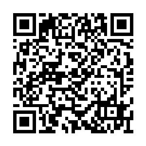 即便他不可能如某战队在接受采访时对着镜头说二维码生成