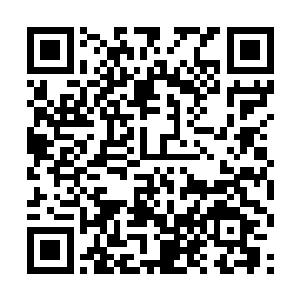即便他们四个人一起上也不可能是尼克古拉斯的对手二维码生成