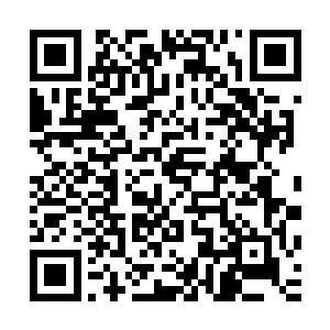 即便他们每个人身上都仅有可以一次性发射十五发子弹的手枪二维码生成