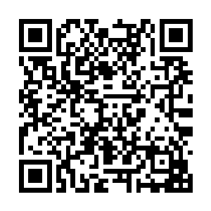 即便他们每天都会使用一些能够增强抵抗力的药草二维码生成