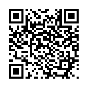 即便他根本就没有学过什么会计记账二维码生成