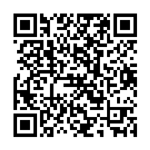 即便他的重孙女也比罗川和白依卿加起来还要大上几轮二维码生成