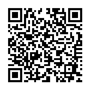 即便以秦洛现在的力量也不是能够轻易撼动这样一个大家族的二维码生成