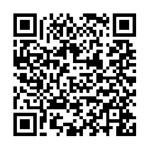 即便以闻人牧月和白破局的人脉也一时半会儿奈何不得二维码生成