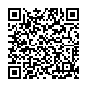即便你找了一个帮手也改变不了今天会死在这里的结局二维码生成