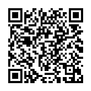 即便像安齐远那样的高阶修士也无法洞悉一丝一毫二维码生成