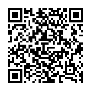 即便像小黑神龙这样骄傲内敛的龙都对苏落的闯关进度表示震惊二维码生成