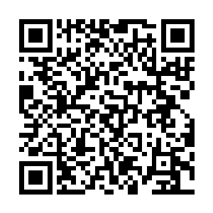 即便像无名老者这样武功高的人想要进厉王府也要一番波折二维码生成