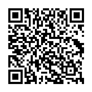 即便兽族和魔族化为人形后都是极为俊美俏丽的二维码生成