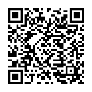 即便刚才在性命攸关时他们下意识听从背心的指令二维码生成