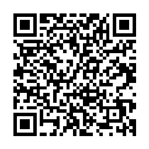 即便吴岩此刻显露不过只区区化神后期修为依旧不敢丝毫大意二维码生成