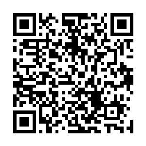 即便在明知不会死的情况下也会果断交闪来保持良好的状态二维码生成