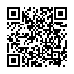 即便在森林和森林之间的过渡地带二维码生成