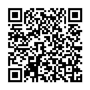 即便地球意志真是某种凌驾于三维宇宙之上的四维生命二维码生成