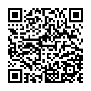 即便她加以改良了下只要通晓阵法的人用不了多久就能破解二维码生成