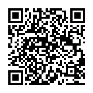 即便小龙天资聪慧依旧希望能够待在自己父母的身边二维码生成