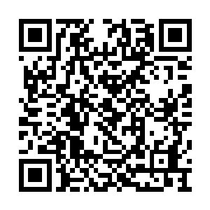 即便我明知玄战副殿主可以直接让我进入圣光塔二维码生成