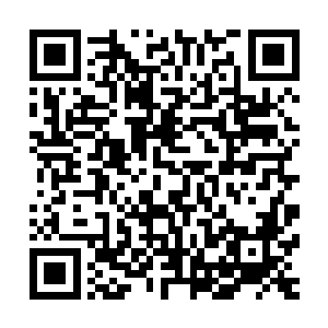 即便换成是她对凤君曜下毒也不可能让他将一整株的毒全吃了二维码生成