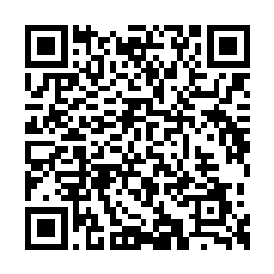 即便斜月至尊域四大宗门之一的归墟海与之相比二维码生成