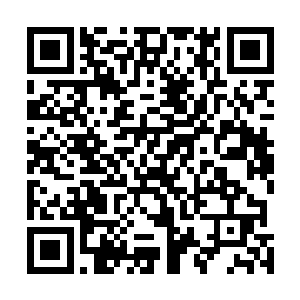 即便早就知道出生在真人类帝国四大选帝候家族的厉嘉陵二维码生成