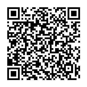 即便昔日的元始文明曾经将探索的触手伸向多元宇宙的每一个角落二维码生成