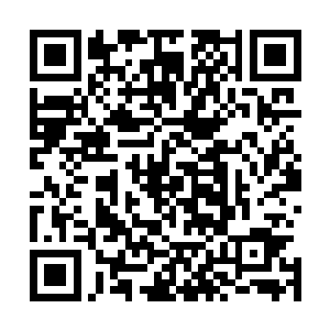 即便是一向有木质金属之称的黄柽木也仿佛纸糊泥捏的一般二维码生成