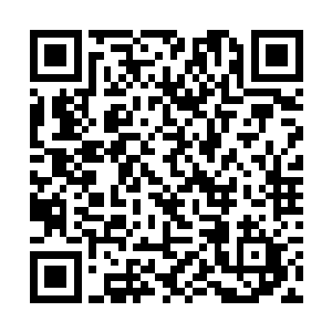 即便是与它们相等个头海蟒王最不济也能接自己一拳二维码生成