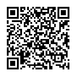 即便是仇仲玉这种级别的官员在他面前也没办法直起腰背二维码生成