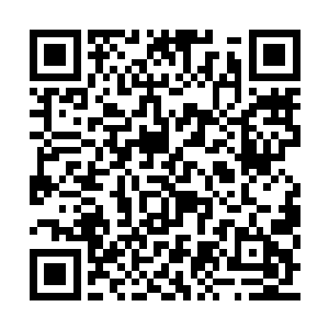 即便是以他修炼极玄之气到了第八层巅峰的境界二维码生成