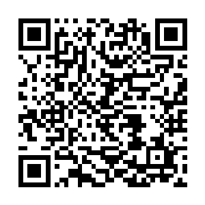 即便是以剑尘的快剑也无法抵御來自四面八方的攻击二维码生成