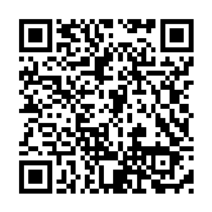 即便是以霸王异形和三角异形的防御力和生命力二维码生成