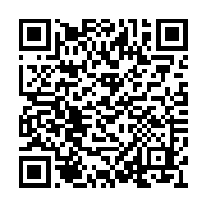 即便是位于云楼投影上面的众多大儒也难以置信二维码生成