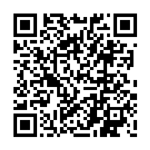 即便是低分段的许多玩家也应该一眼就能看出来二维码生成