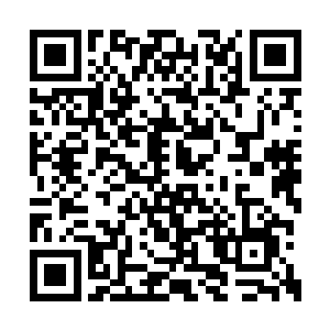 即便是低阶大帝在这恐怖的杀戮之意的笼罩之下二维码生成