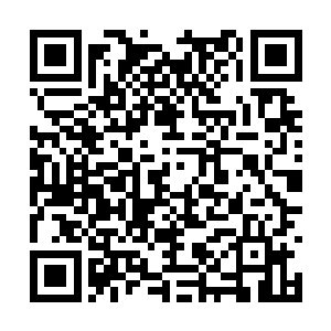 即便是修士登顶也只会遭到一个星域内星辰的攻击二维码生成