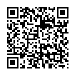 即便是全世界恐怕也找不出多少这样能干的小孩了二维码生成