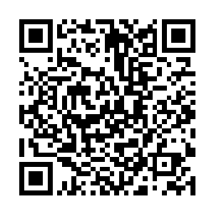 即便是凤族高层都不在灵凰陛下之前还有一位不世祖二维码生成