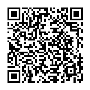 即便是剩余的那些人离合境界之下的即便是没有陨落也差不多失去了战斗力二维码生成